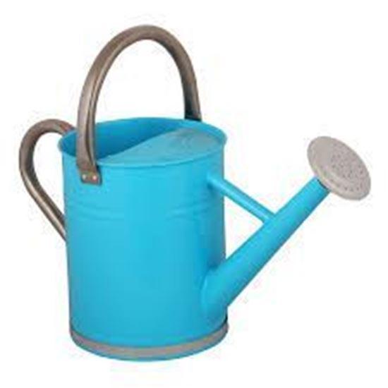 Skootr. GREEN WATER CANE